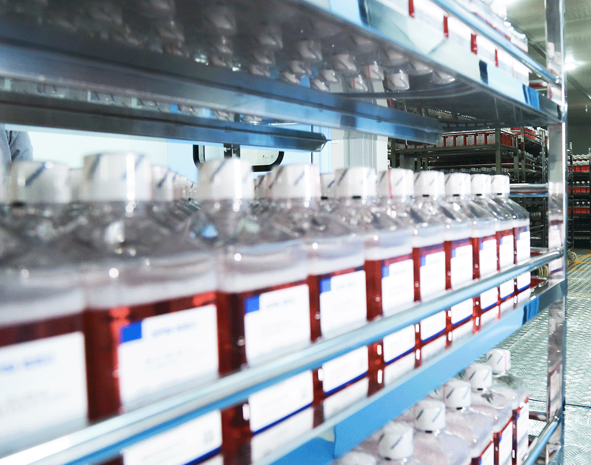 CCM impact protein quality