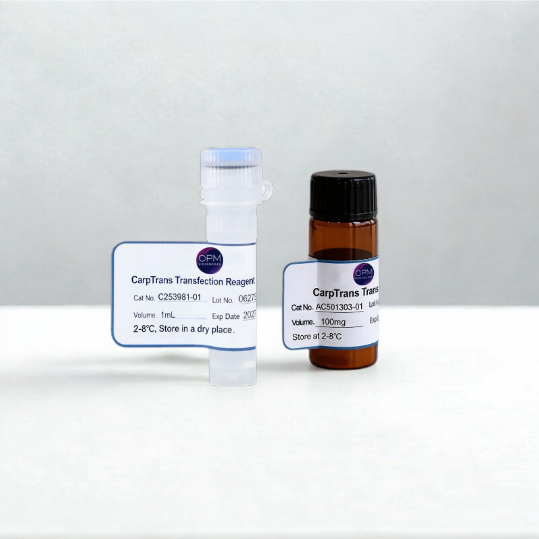 CarpTrans Transfection Reagent