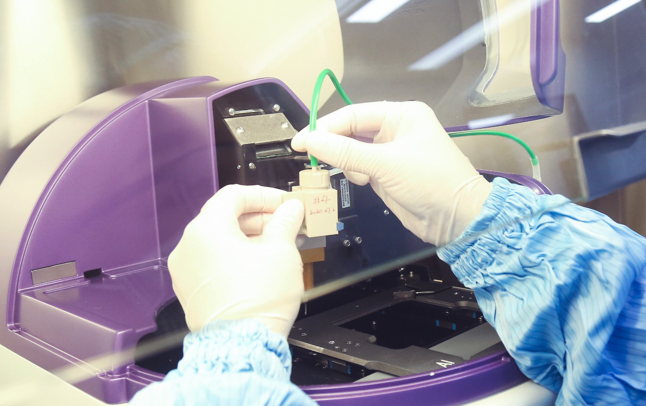 CDMO Services - Stable Cell Line Development
