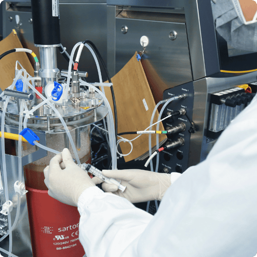 Scientist operating a bioreactor for biosimilar cell culture media optimization Scientist operating a bioreactor for biosimilar cell culture media optimization