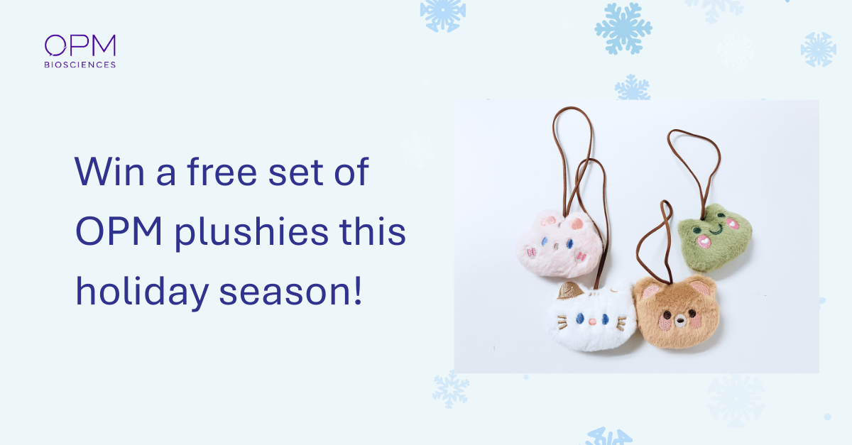 Christmas giveaway (6)